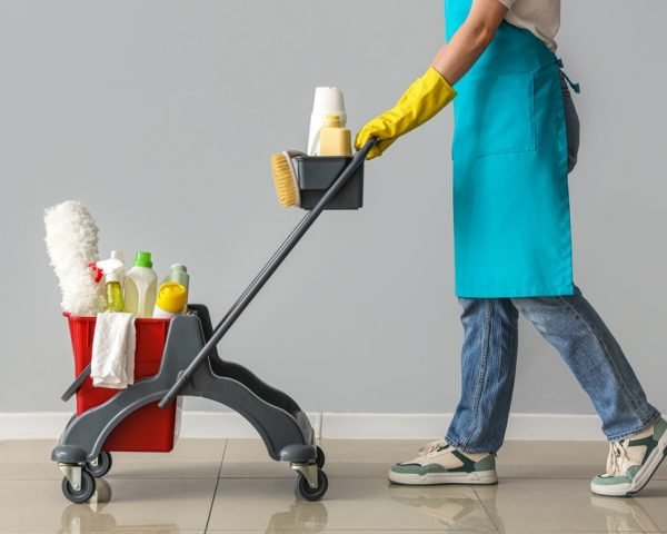 65956e0c7a284e01e1b6b5fc what are the benefits of a professional cleaner